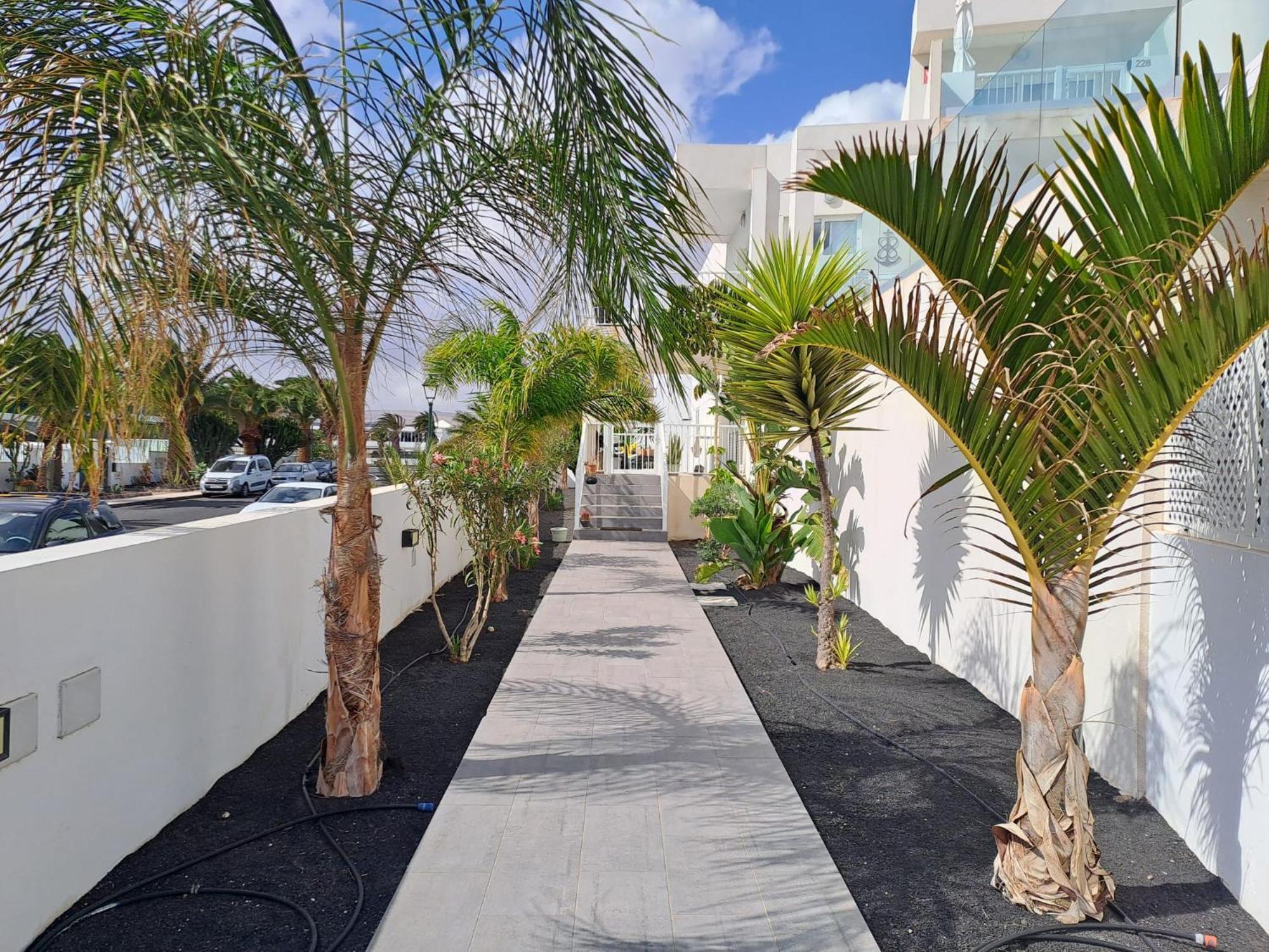 Luxury Sea View Senator Lanzarote Appartement Costa Teguise Buitenkant foto