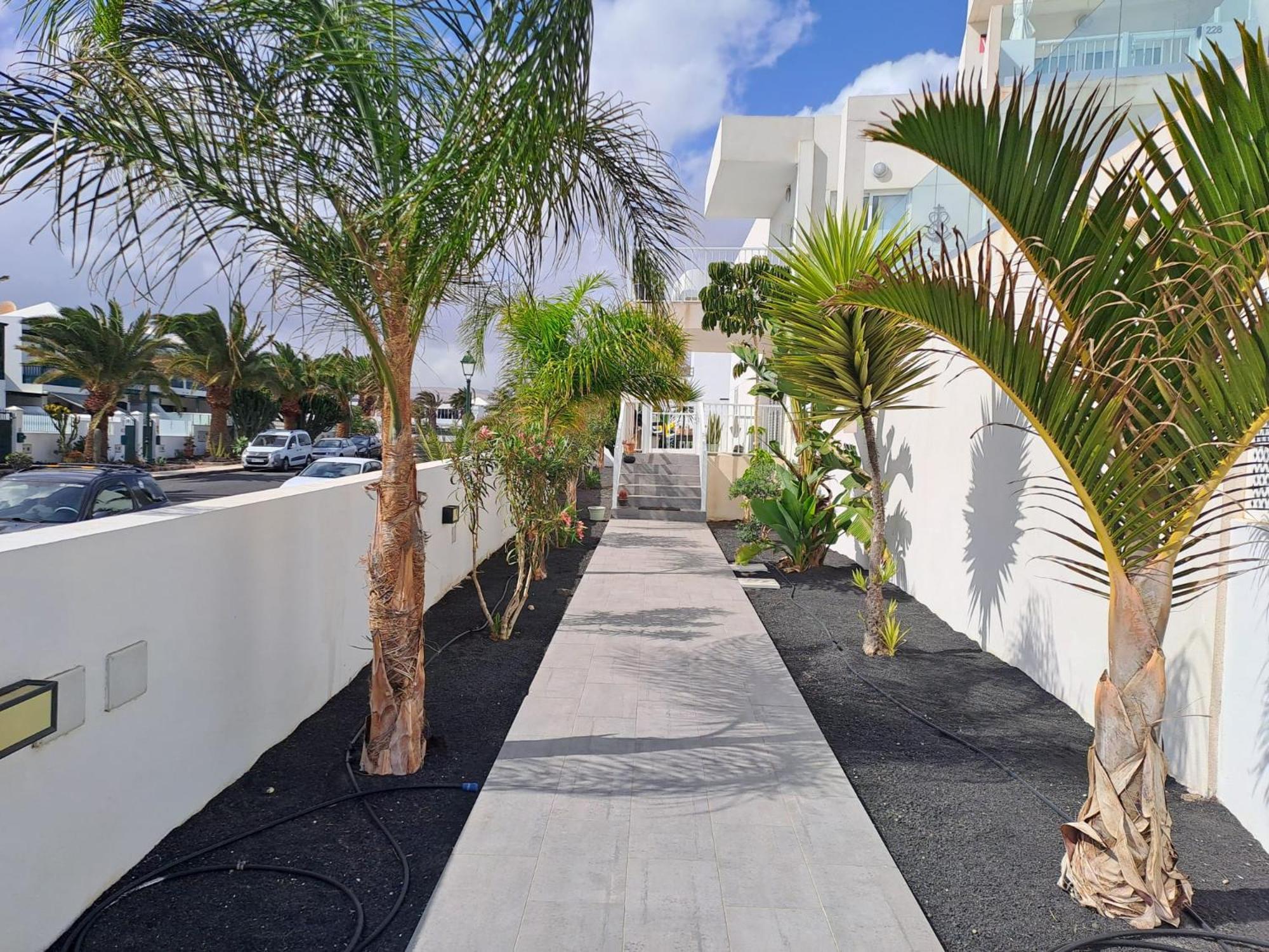 Luxury Sea View Senator Lanzarote Appartement Costa Teguise Buitenkant foto